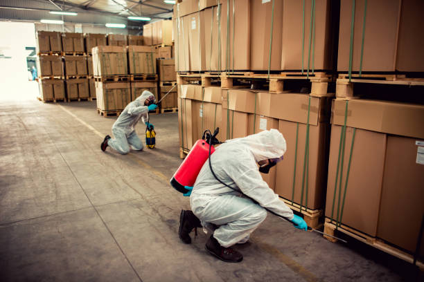 Best Mosquito Control Services  in Ringwood, NJ