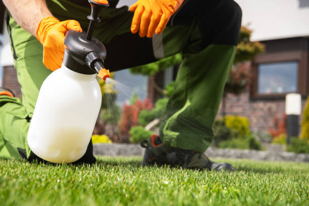 Best Best Pest Control Companies  in Ringwood, NJ