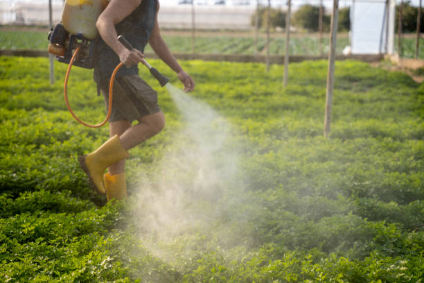 Best Affordable Pest Control Services  in Ringwood, NJ