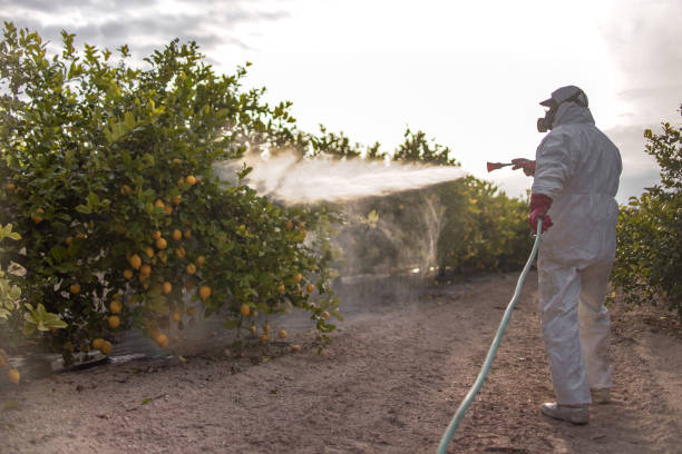 Best Pest Removal Services  in Ringwood, NJ