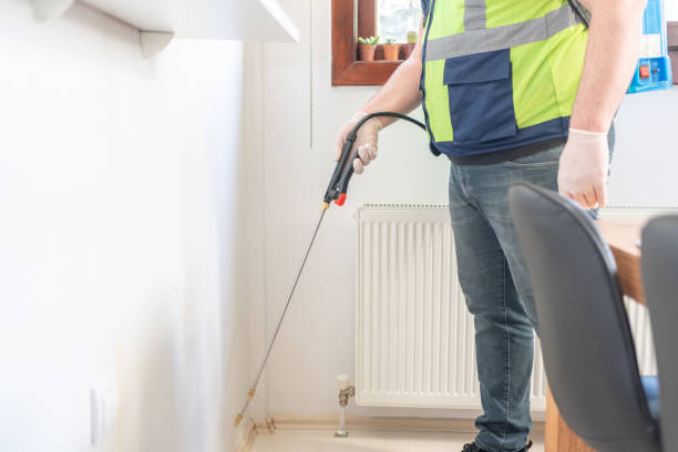 Best Local Pest Control Services  in Ringwood, NJ