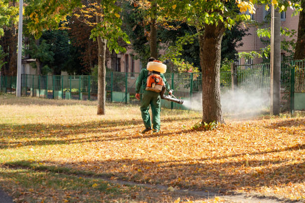 Bird Control in Ringwood, NJ