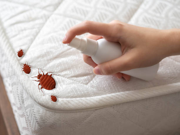 Best Residential Pest Control  in Ringwood, NJ