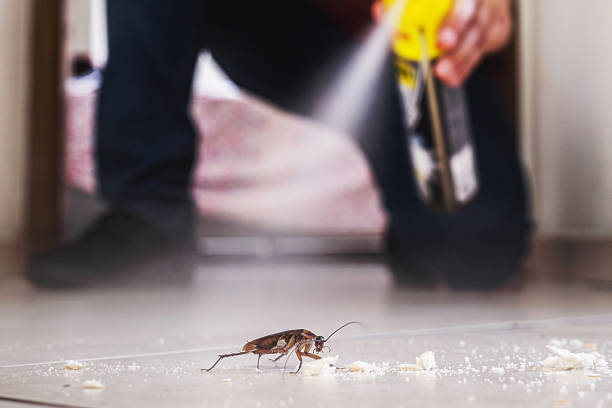 Best Pest Inspection Near Me  in Ringwood, NJ