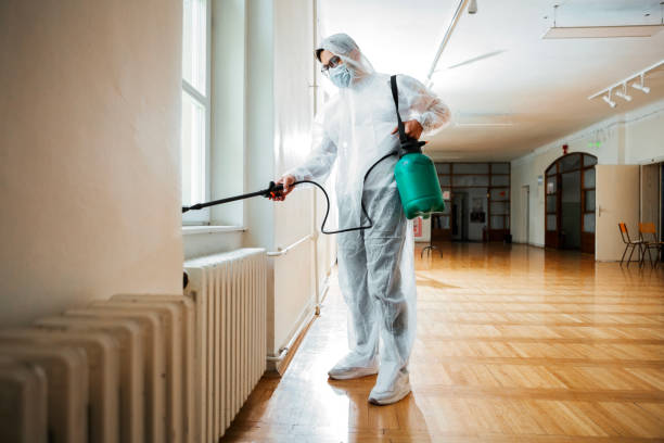 Best Rat Extermination Near Me  in Ringwood, NJ