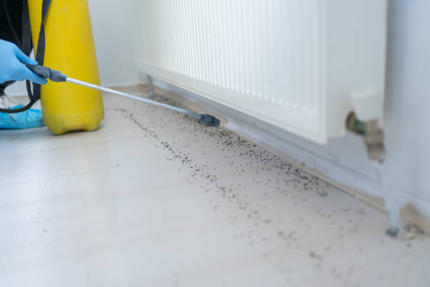 Professional Pest Control in Ringwood, NJ