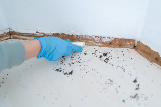 Wildlife Control Services in Ringwood, NJ