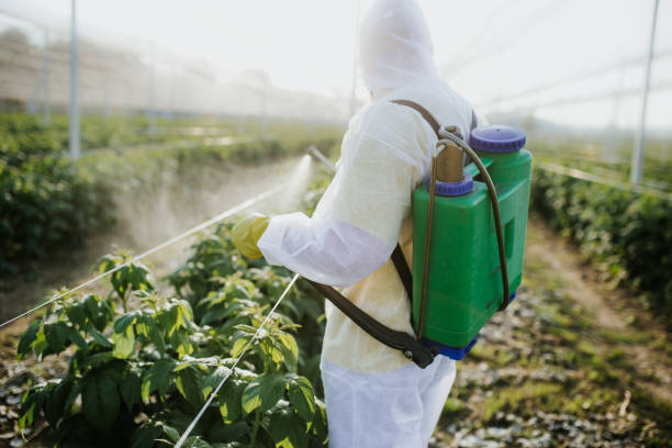 Best Best Pest Control Companies  in Ringwood, NJ